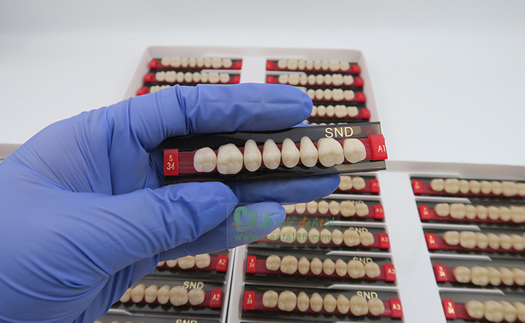 R202 Two Layer Acrylic Resin Teeth
